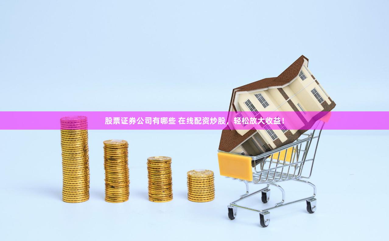 股票证券公司有哪些 在线配资炒股，轻松放大收益！